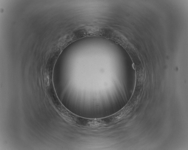 X0000074210703200609011152