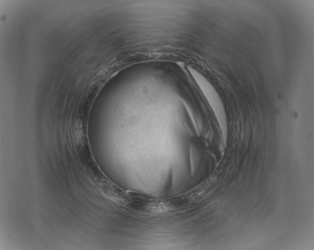 X0000074210704200609011152