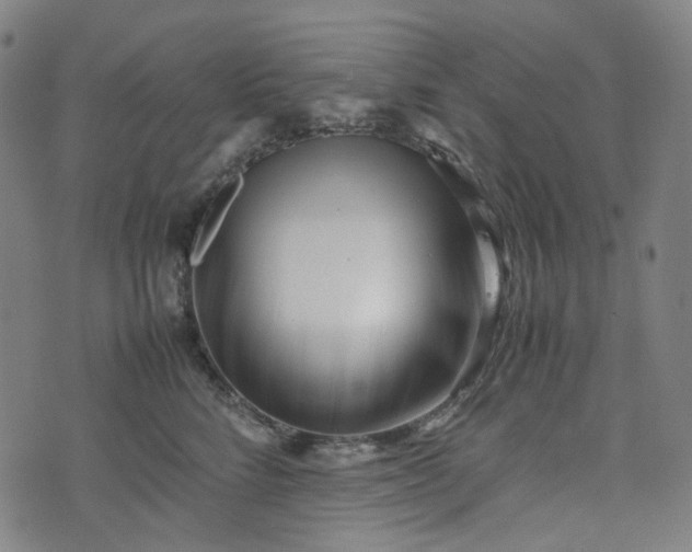 X0000074210712200609011152