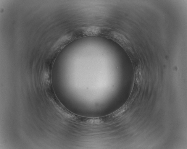 X0000074210714200609011152