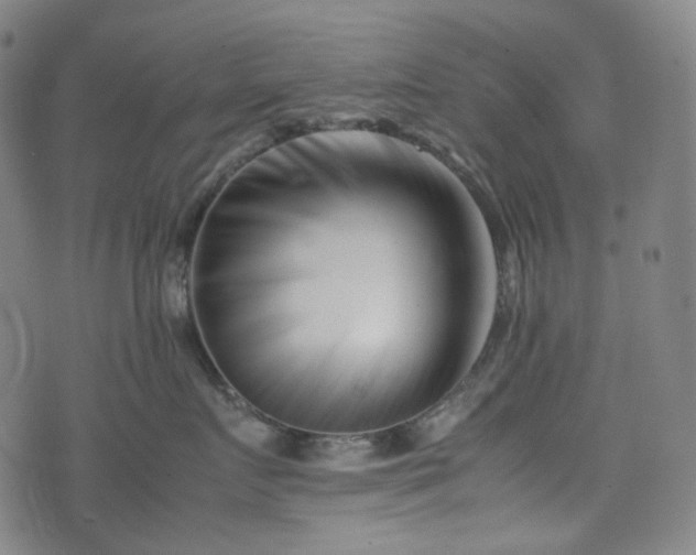 X0000074210719200609011151
