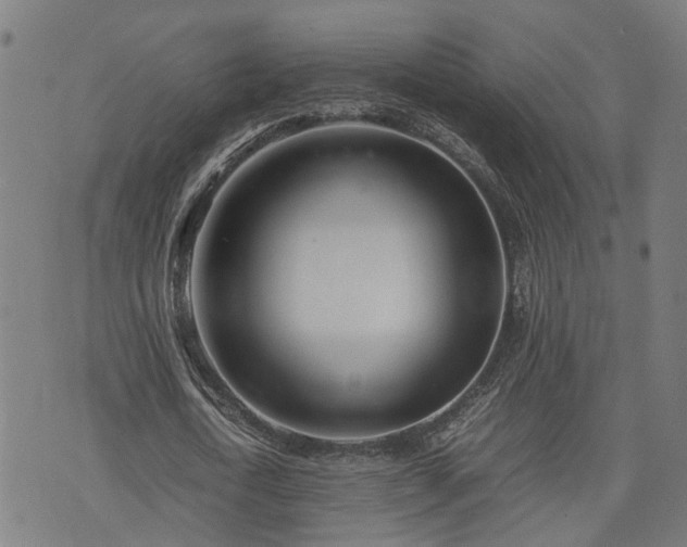 X0000074210722200609011151