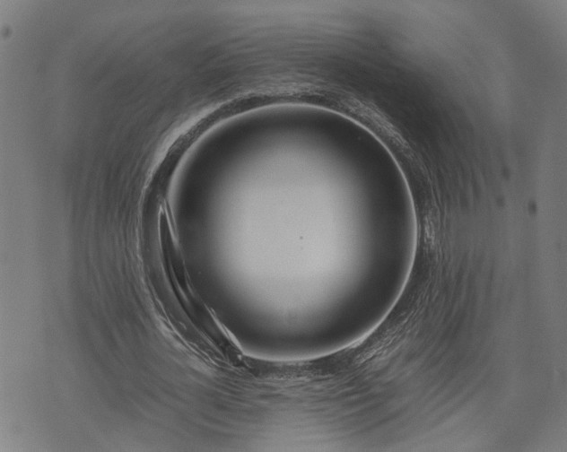 X0000074210724200609011151
