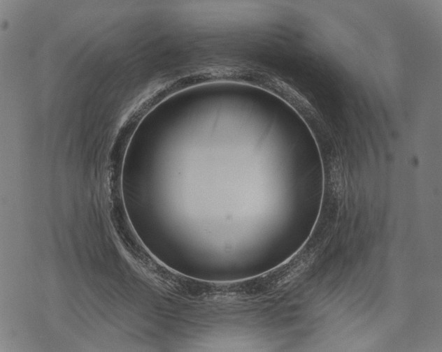 X0000074210730200609011151