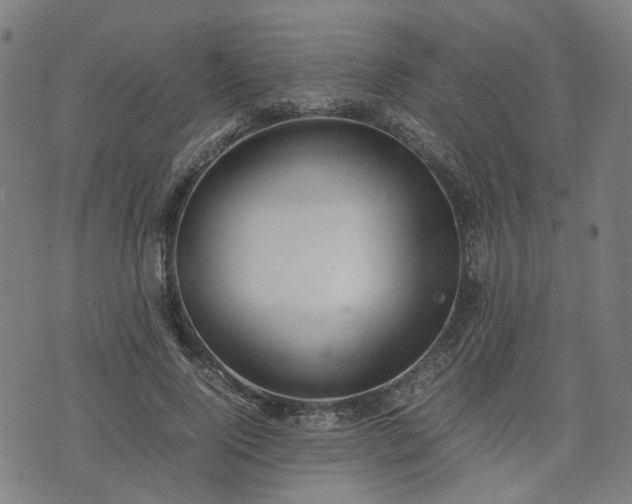 X0000074210740200609011151