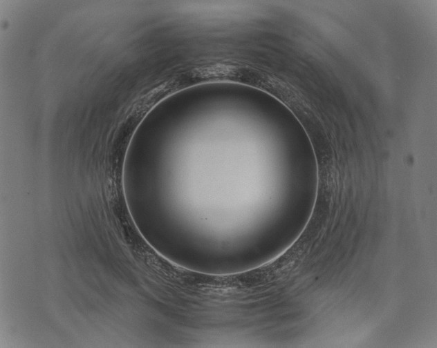 X0000074210743200609011151