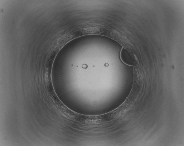 X0000074210745200609011151
