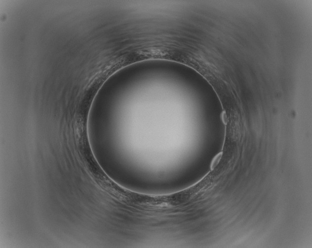 X0000074210747200609011151