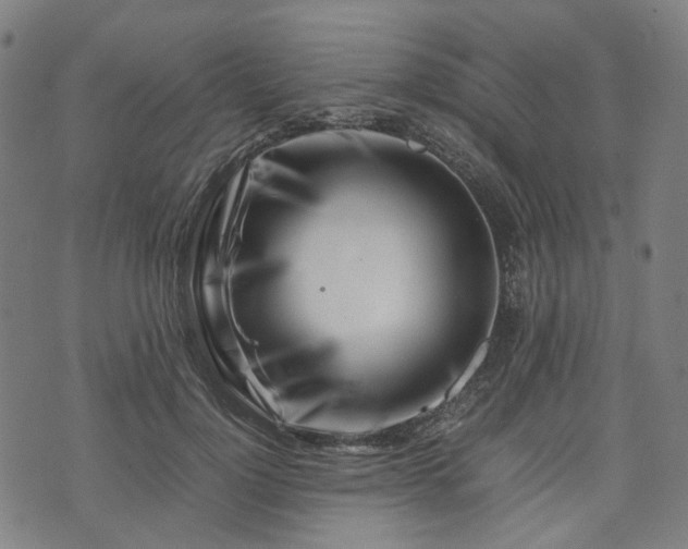 X0000074210748200609011151