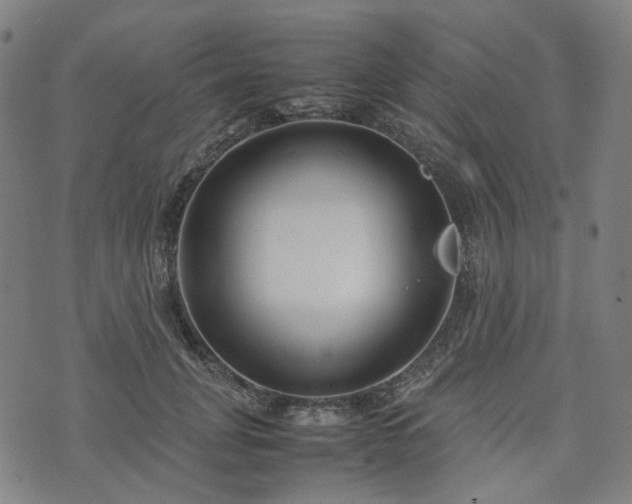 X0000074210751200609011151