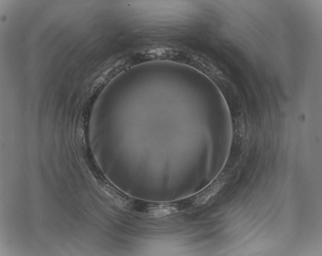 X0000074210754200609011151