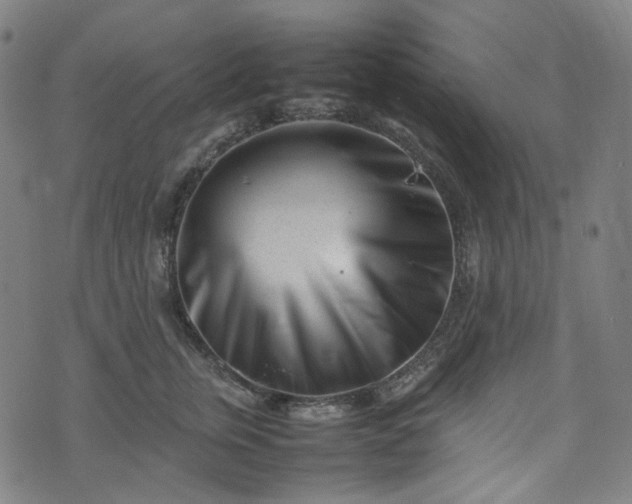 X0000074210759200609011151