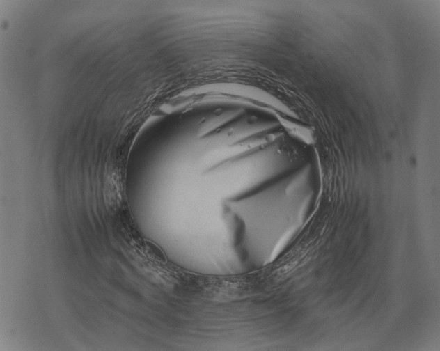 X0000074210772200609011151