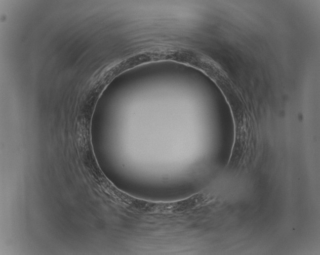 X0000074210773200609011151