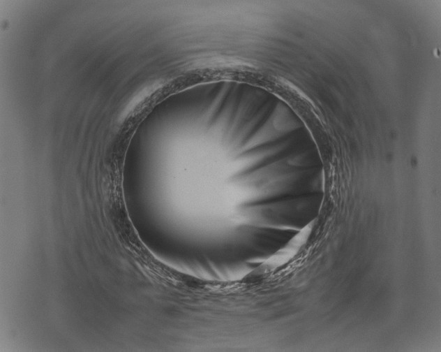 X0000074210775200609011151
