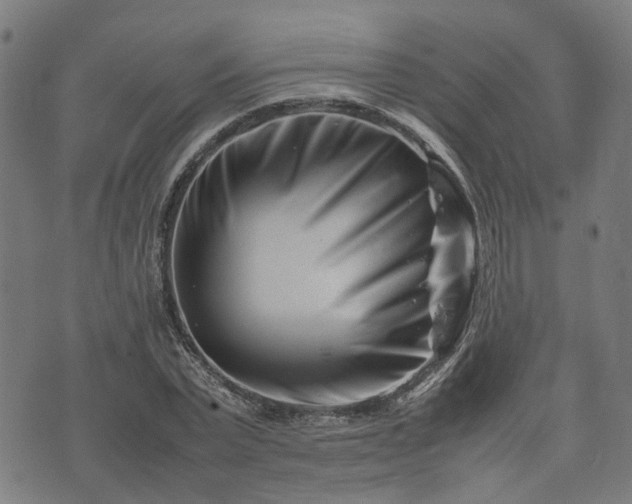 X0000074210783200609011150