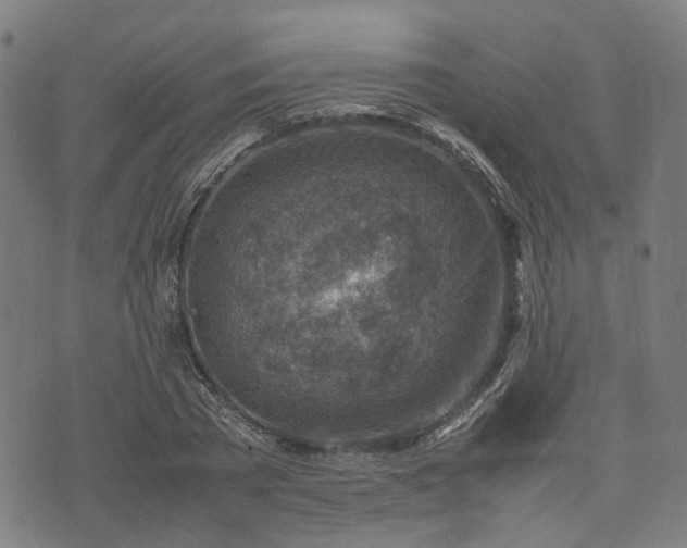 X0000074210785200609011150