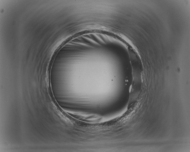 X0000074210791200609011150