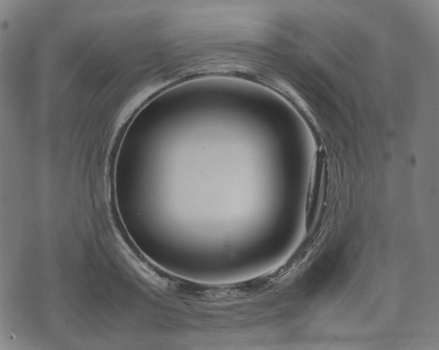 X0000074210795200609011150