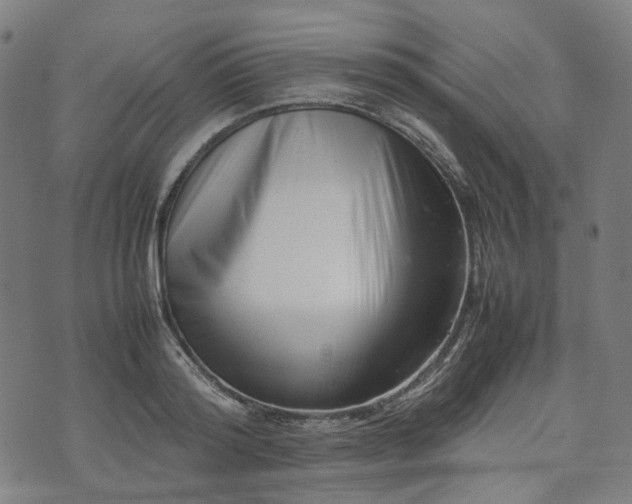 X0000074210796200609011150