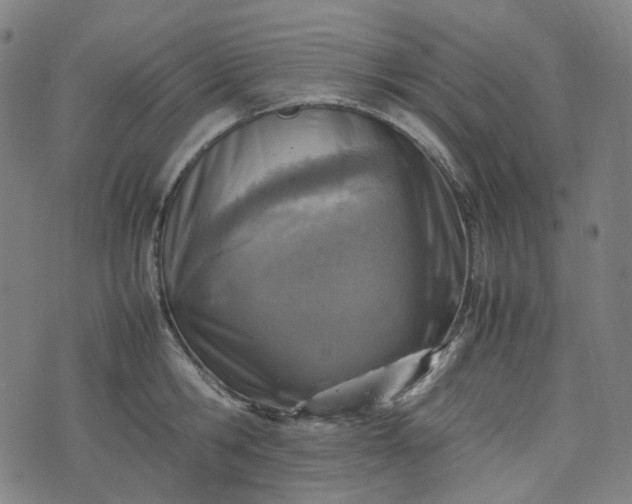 X0000074210806200609011150