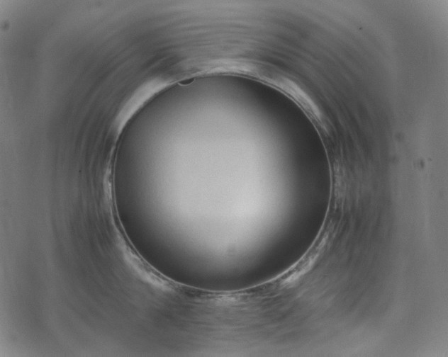 X0000074210814200609011150