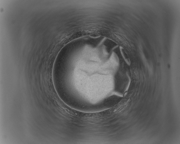 X0000074210817200609011149