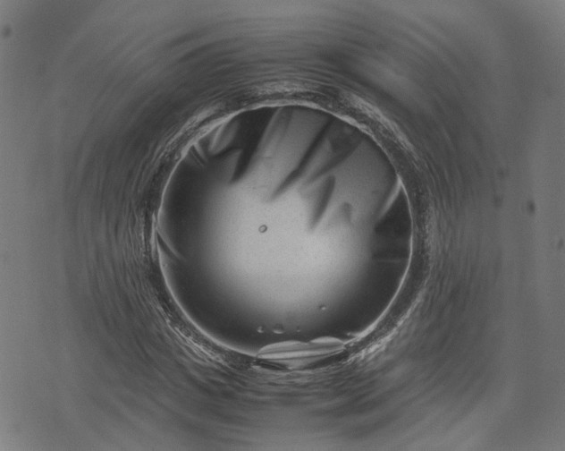 X0000074210825200609011149
