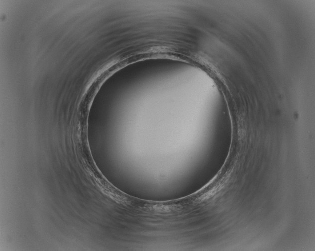 X0000074210827200609011149