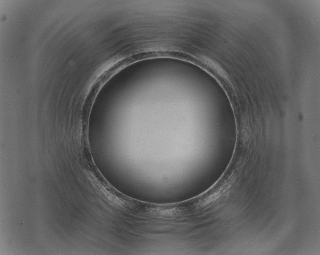 X0000074210831200609011149