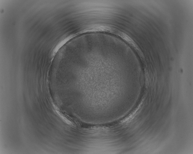 X0000074210842200609011149