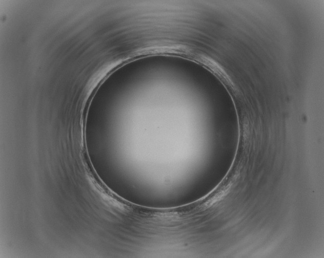 X0000074210844200609011150