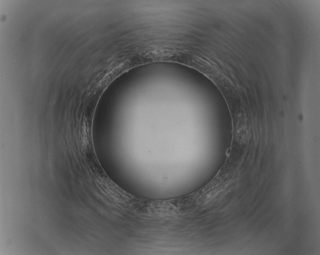 X0000074210866200609011149