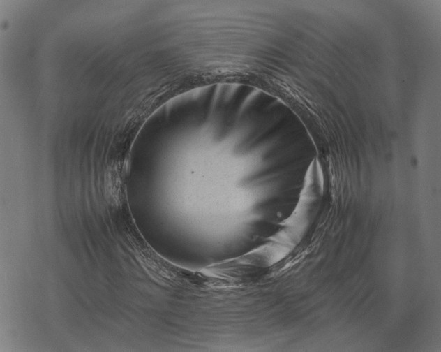 X0000074210868200609011149