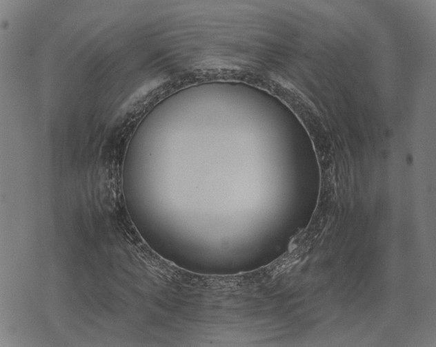 X0000074210870200609011149