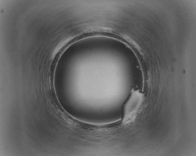 X0000074210877200609011149