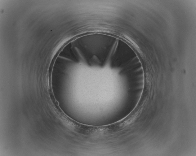 X0000074210891200609011149