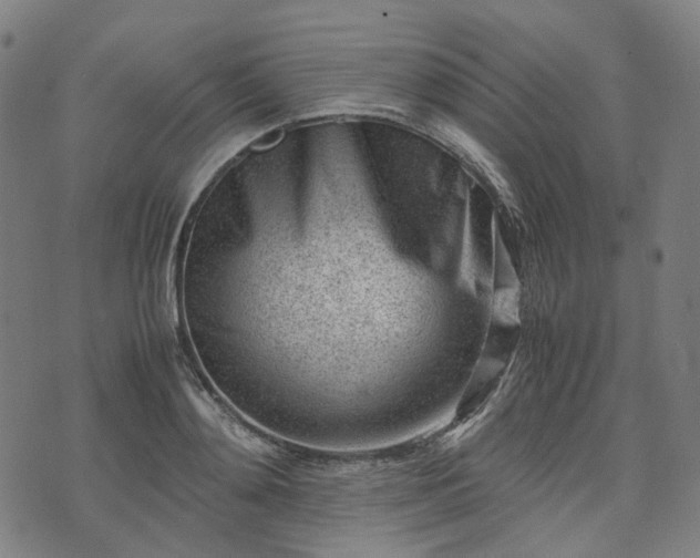 X0000074210892200609011149