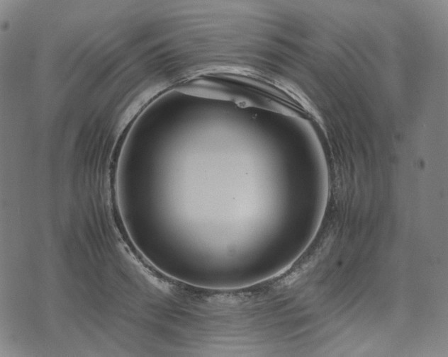 X0000074210898200609011148