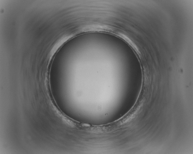 X0000074210901200609011148