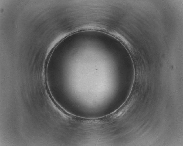 X0000074210902200609011148