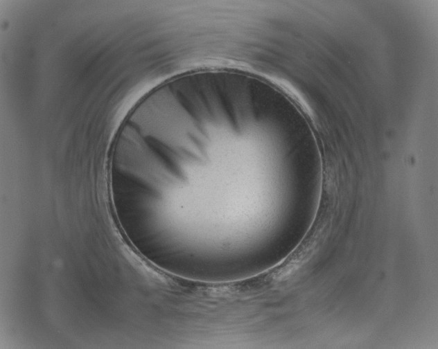 X0000074210903200609011148