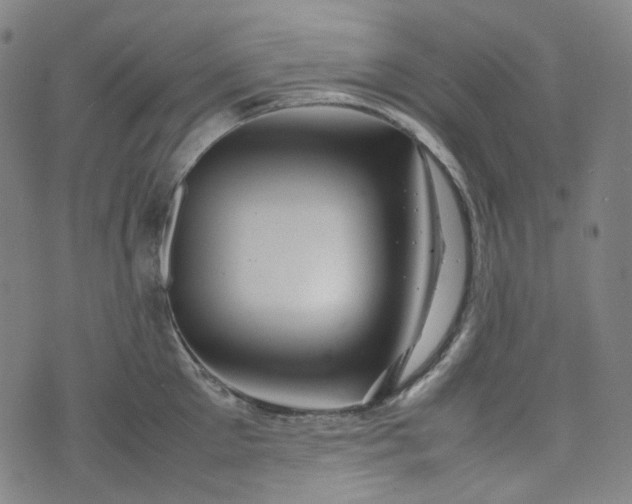 X0000074210905200609011148