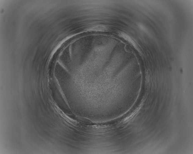 X0000074210923200609011148