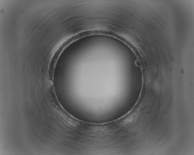 X0000074210927200609011148