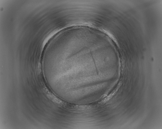 X0000074210928200609011148