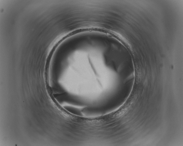 X0000074210943200609011148