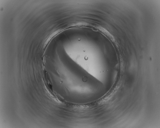 X0000074210945200609011148