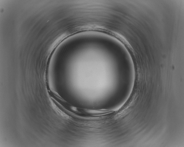 X0000074210946200609011148