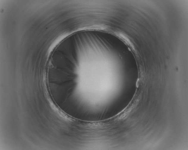 X0000074210952200609011148